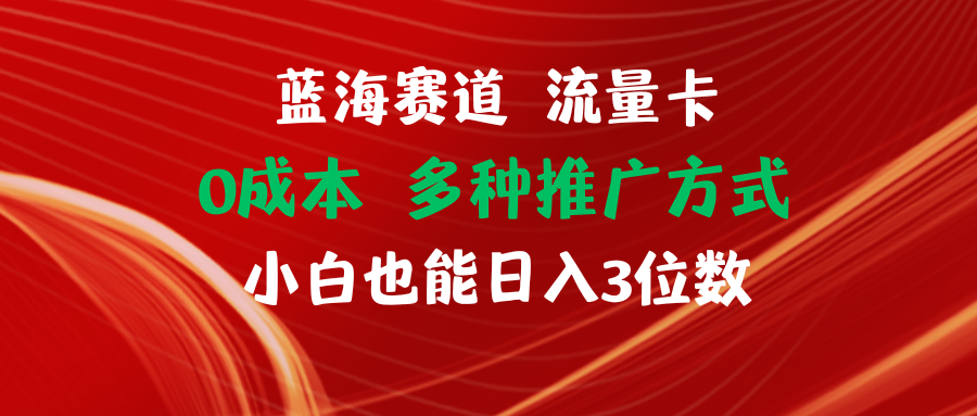 （11768期）蓝海赛道 流量卡 0成本 小白也能日入三位数-飓风网创资源站