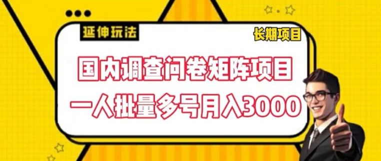 国内调查问卷矩阵项目，一人批量多号月入3000【揭秘】-飓风网创资源站