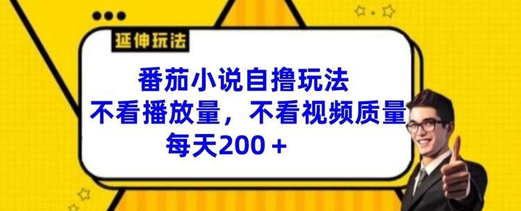 番茄小说自撸玩法，不看播放量，不看视频质量，每天200+【揭秘】-飓风网创资源站