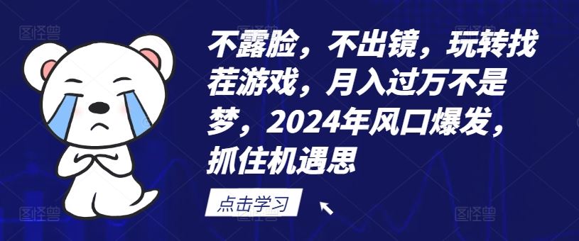 不露脸，不出镜，玩转找茬游戏，月入过万不是梦，2024年风口爆发，抓住机遇【揭秘】-飓风网创资源站