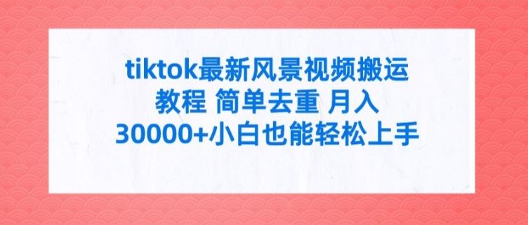 tiktok最新风景视频搬运教程 简单去重 月入3W+小白也能轻松上手【揭秘】-飓风网创资源站