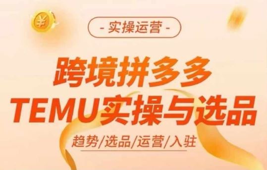 跨境拼多多TEMU实操与选品，多多temu跨境选品运营实操-飓风网创资源站