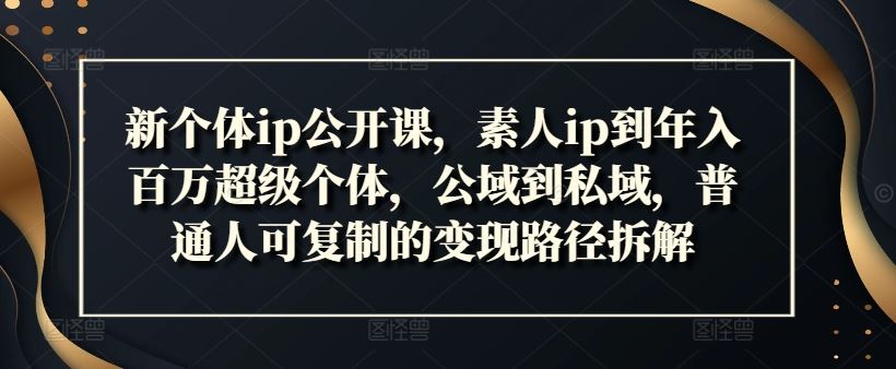 新个体ip公开课，素人ip到年入百万超级个体，公域到私域，普通人可复制的变现路径拆解-飓风网创资源站