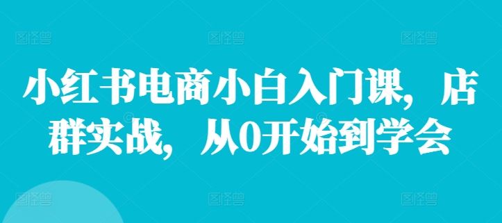 小红书电商小白入门课，店群实战，从0开始到学会-飓风网创资源站