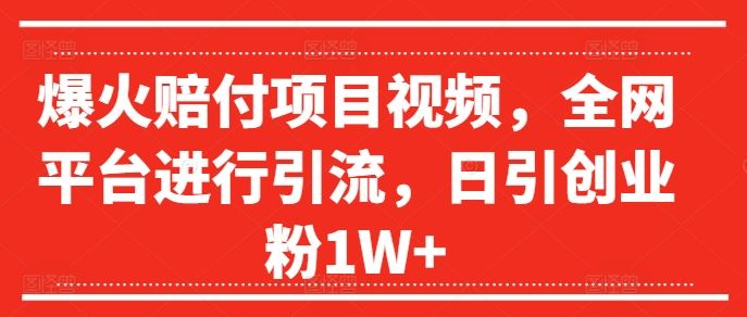 爆火赔付项目视频，全网平台进行引流，日引创业粉1W+【揭秘】-飓风网创资源站