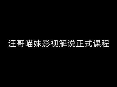 汪哥影视解说正式课程：剪映/PR教学/视解说剪辑5大黄金法则/全流程剪辑7把利器等等-飓风网创资源站