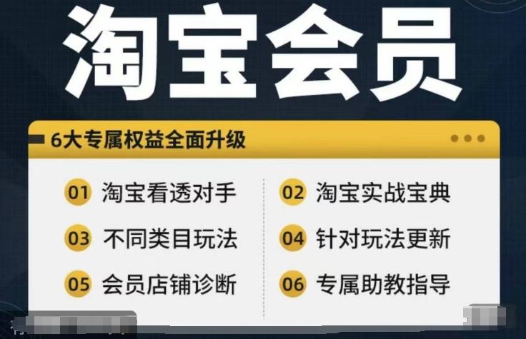 淘宝会员【淘宝所有课程，全面分析对手】，初级到高手全系实战宝典-飓风网创资源站