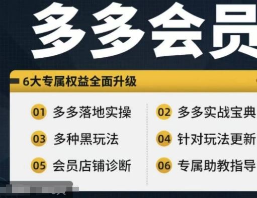 拼多多会员，拼多多实战宝典+实战落地实操，从新手到高阶内容全面覆盖-飓风网创资源站