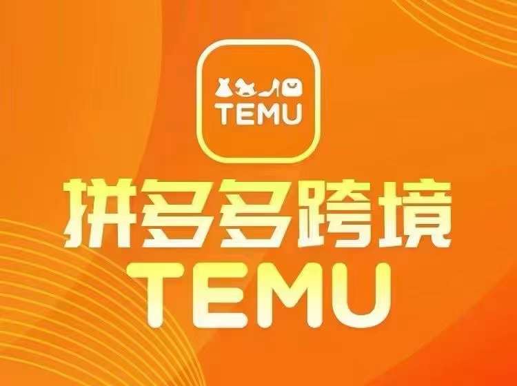 最新TEMU拼多多跨境教程，开店、运营、选品-飓风网创资源站