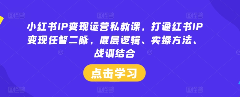 小红书IP变现运营私教课，打通红书IP变现任督二脉，底层逻辑、实操方法、战训结合-飓风网创资源站