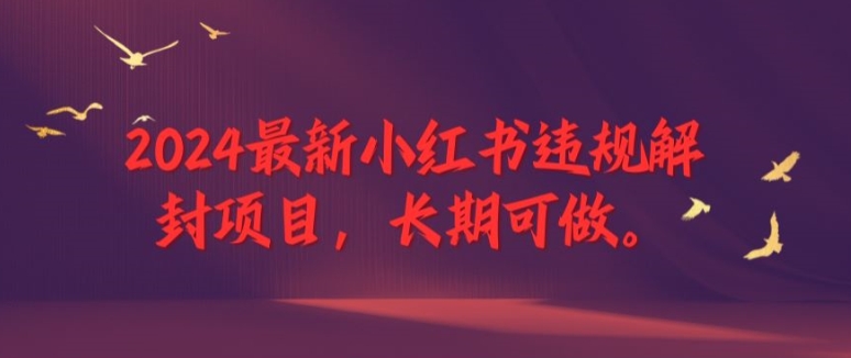 2024最新小红书违规解封项目，长期可做，一个可以做到退休的项目-飓风网创资源站