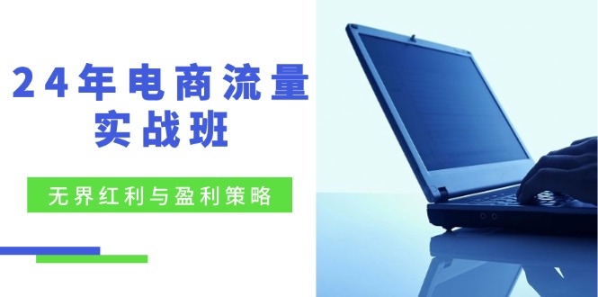 （12168期）24年电商流量实战班：无界 红利与盈利策略，终极提升/关键词优化/精准…-飓风网创资源站