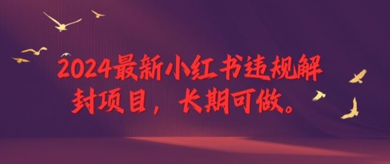 2024最新小红书违规解封项目，长期可做，一个可以做到退休的项目【揭秘】-飓风网创资源站