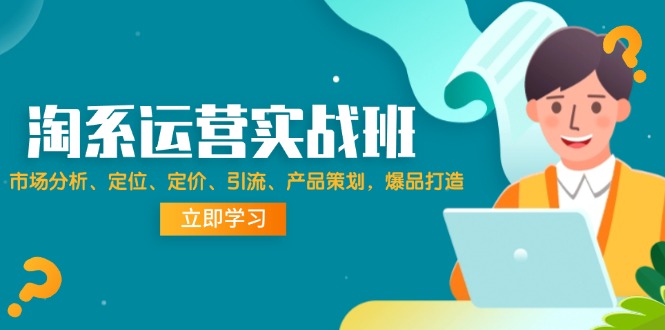 （12186期）淘系运营实战班：市场分析、定位、定价、引流、产品策划，爆品打造-飓风网创资源站