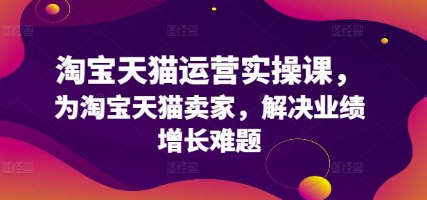 淘宝天猫运营实操课，为淘宝天猫卖家，解决业绩增长难题-飓风网创资源站