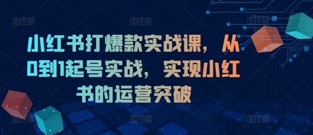 小红书打爆款实战课，从0到1起号实战，实现小红书的运营突破-飓风网创资源站