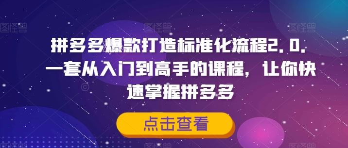 拼多多爆款打造标准化流程2.0，一套从入门到高手的课程，让你快速掌握拼多多-飓风网创资源站