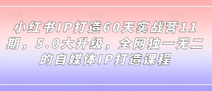 小红书IP打造60天实战营11期，5.0大升级，全网独一无二的自媒体IP打造课程-飓风网创资源站