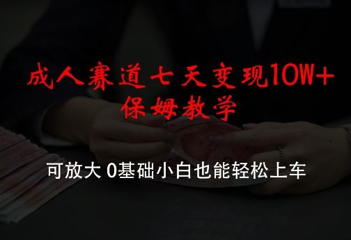 成人赛道七天变现10W+保姆教学，可放大，0基础小白也能轻松上车【揭秘】-飓风网创资源站