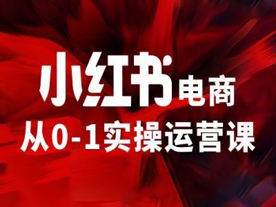 小红书电商从0-1实操运营课，让你从小白到精英-飓风网创资源站