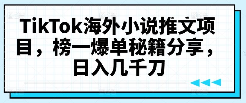 TikTok海外小说推文项目，榜一爆单秘籍分享，日入几千刀-飓风网创资源站