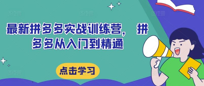 最新拼多多实战训练营， 拼多多从入门到精通-飓风网创资源站