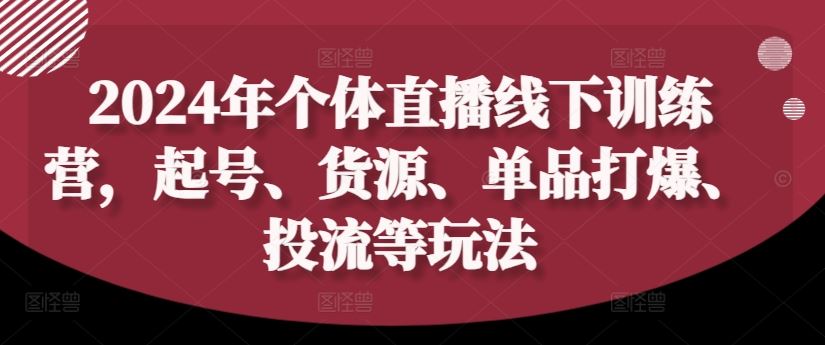 2024年个体直播训练营，起号、货源、单品打爆、投流等玩法-飓风网创资源站