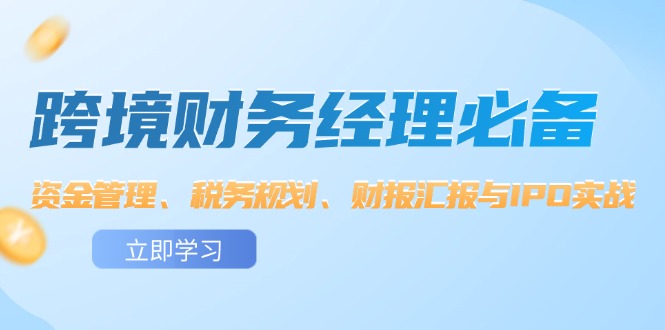 （12323期）跨境 财务经理必备：资金管理、税务规划、财报汇报与IPO实战-飓风网创资源站