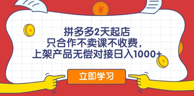 （12356期）拼多多0成本开店，只合作不卖课不收费，0成本尝试，日赚千元+-飓风网创资源站