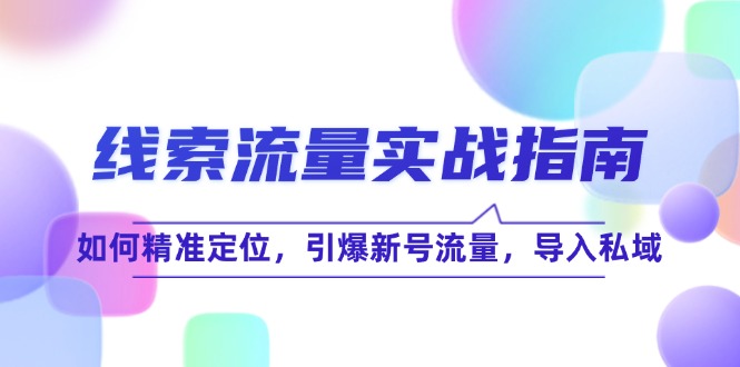 （12382期）线 索 流 量-实战指南：如何精准定位，引爆新号流量，导入私域-飓风网创资源站