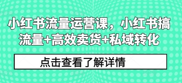 小红书流量运营课，小红书搞流量+高效卖货+私域转化-飓风网创资源站