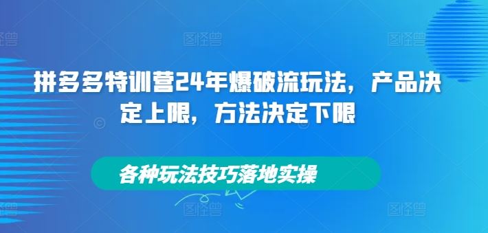 拼多多特训营24年爆破流玩法，产品决定上限，方法决定下限，各种玩法技巧落地实操-飓风网创资源站