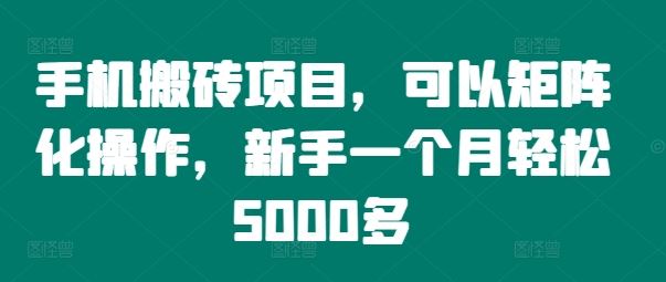 手机搬砖项目，可以矩阵化操作，新手一个月轻松5000多-飓风网创资源站