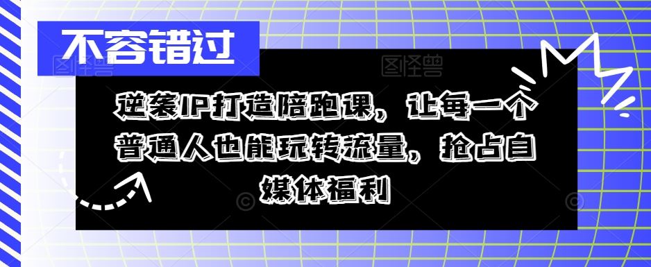 逆袭IP打造陪跑课，让每一个普通人也能玩转流量，抢占自媒体福利-飓风网创资源站