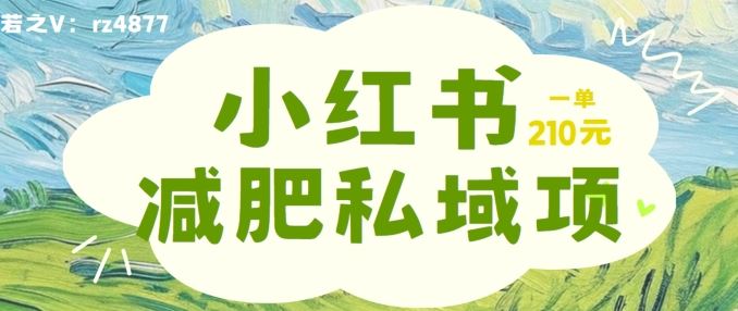 小红书减肥粉，私域变现项目，一单就达210元，小白也能轻松上手【揭秘】-飓风网创资源站