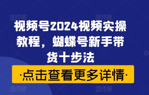 视频号2024视频实操教程，蝴蝶号新手带货十步法-飓风网创资源站