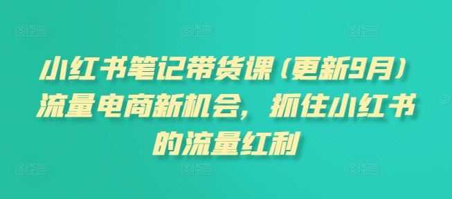 小红书笔记带货课(更新9月)流量电商新机会，抓住小红书的流量红利-飓风网创资源站