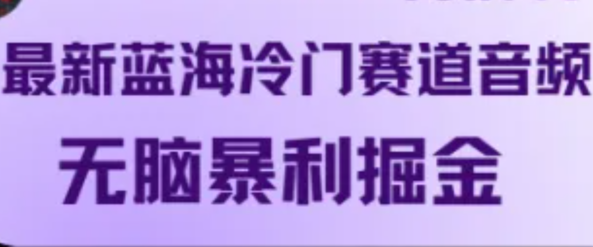 最新蓝海冷门赛道音频，无脑暴利掘金-飓风网创资源站