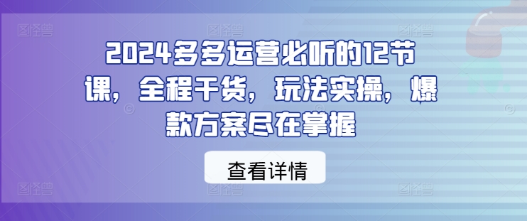 2024多多运营必听的12节课，全程干货，玩法实操，爆款方案尽在掌握-飓风网创资源站