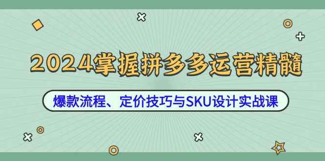 2024掌握拼多多运营精髓：爆款流程、定价技巧与SKU设计实战课-飓风网创资源站