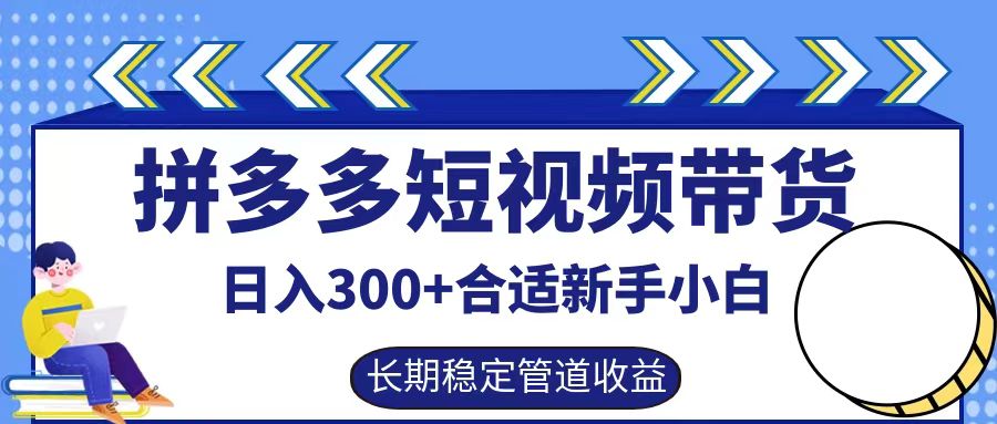 拼多多短视频带货日入300+，实操账户展示看就能学会-飓风网创资源站