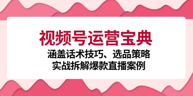 （12808期）视频号运营宝典：涵盖话术技巧、选品策略、实战拆解爆款直播案例-飓风网创资源站