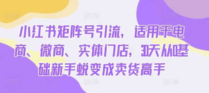 小红书矩阵号引流，适用于电商、微商、实体门店，30天从0基础新手蜕变成卖货高手-飓风网创资源站