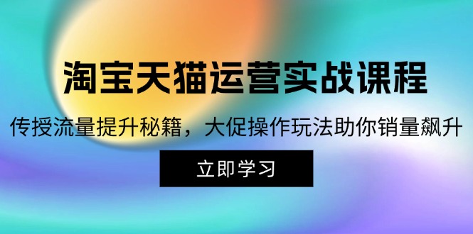 （12959期）淘宝&天猫运营实战课程，传授流量提升秘籍，大促操作玩法助你销量飙升-飓风网创资源站