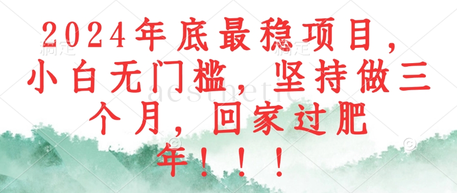 （12970期）2024年底最稳项目，小白无门槛，坚持做三个月，回家过肥年！！！-飓风网创资源站