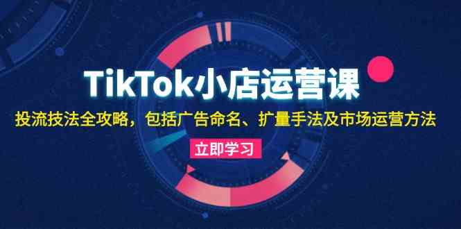 TikTok小店运营课：投流技法全攻略，包括广告命名 扩量手法及市场运营方法-飓风网创资源站