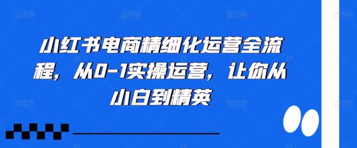 小红书电商精细化运营全流程，从0-1实操运营，让你从小白到精英-飓风网创资源站