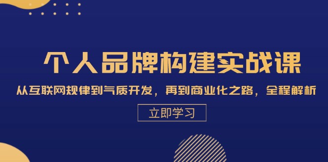 个人品牌构建实战课：从互联网规律到气质开发，再到商业化之路，全程解析-飓风网创资源站