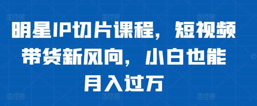 明星IP切片课程，短视频带货新风向，小白也能月入过万-飓风网创资源站