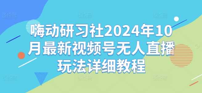 嗨动研习社2024年10月最新视频号无人直播玩法详细教程-飓风网创资源站